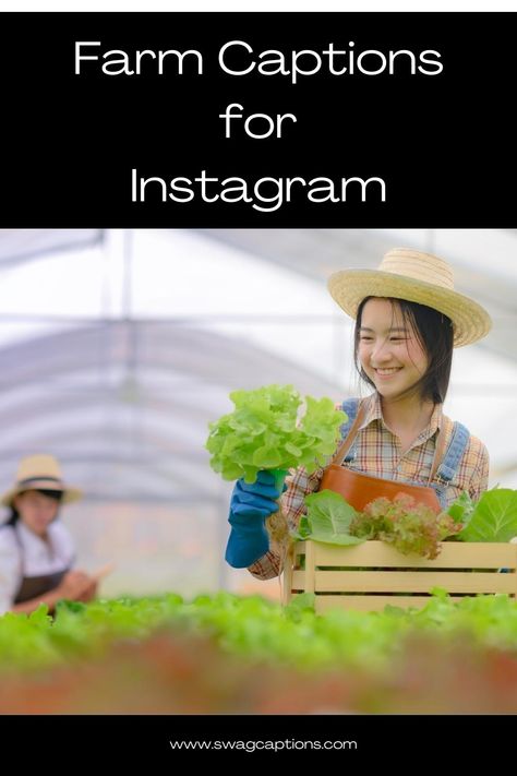 Discover the perfect farm captions for your Instagram photos! From rustic charm to agricultural adventures, find the ideal captions to complement your stunning farm pictures. #FarmCaptions #FarmInstagram #AgriculturalAdventures #RusticCharm #FarmLife #FarmPhotography #CountryLiving #FarmVibes #InstaFarm #FarmLove #FarmLifeIsTheBestLife Farm Captions For Instagram, Farm Captions Instagram, Country Captions Instagram Short, Picture Captions Instagram, Agriculture Quotes, Country Picture, Family Captions, Agriculture Photography, Animal Captions