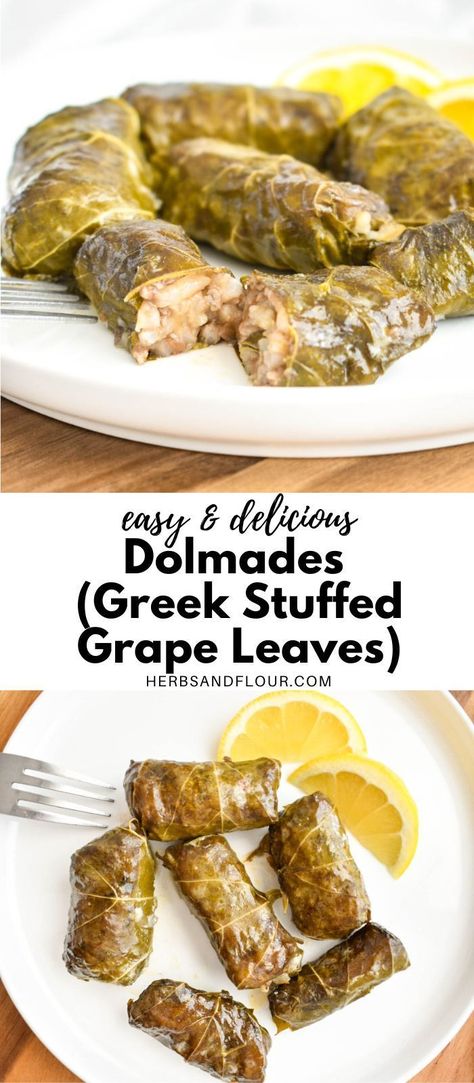 Meat Stuffed Grape Leaves, Grape Leaves Stuffed Vegetarian, Greek Stuffed Grape Leaves, Greek Dolmas Recipe, Greek Grape Leaves, Vegetarian Grape Leaves, Fall Greek Recipes, Authentic Mediterranean Recipes Healthy, Homemade Greek Food