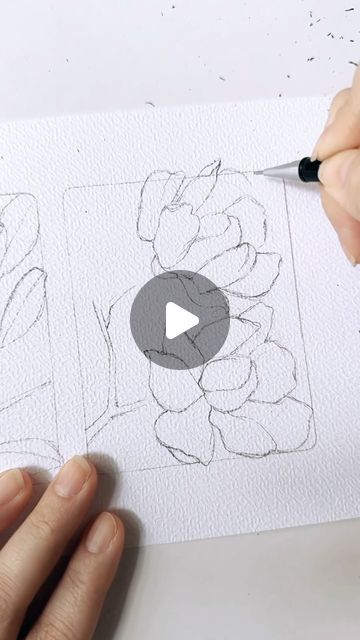 Sketch Of A Couple, Magnolia Flower Drawing, Magnolia Sketch, Magnolia Pictures, Rainy Monday, Have A Wonderful Week, Botanical Line Drawing, Two Flowers, Magnolia Flower