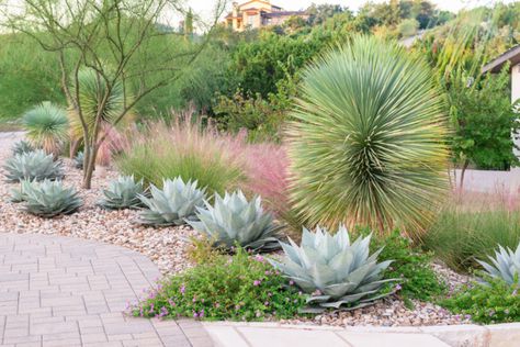 Eden Garden Design Texas Landscaping, River Rock Landscaping, Drought Tolerant Landscape, Modern Landscape Design, Front Landscaping, Modern Landscape, Woodland Garden, Shade Plants, Landscaping With Rocks