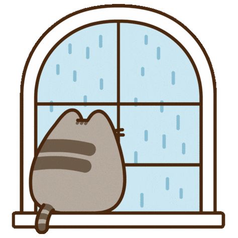 Pusheen Widgets, Pusheen Aesthetic, Pushing Cat, Pusheen Gif, Pusheen Love, Pop Cat, Pusheen Cute, Zodiac Funny, Pusheen Cat