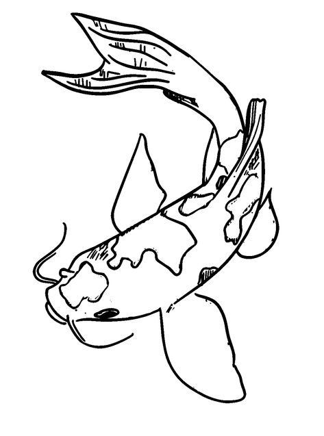 Koi Fish Koi Outline, Koi Fish Coloring Pages, Koi Drawing, Koi Fish Colors, Fish Image, Lol Coloring Pages, Lol Coloring, Fish Coloring, Fish Coloring Page