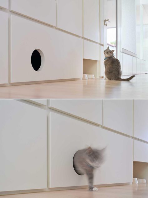 Cat Nook Ideas, Hiding Cat Litter Box Ideas, Cat Cupboard, Cat Interior Design, Pet Cabinet, Cat Station, Cat Litter Box Ideas Hidden, Pet Food Station, Cat Food Station