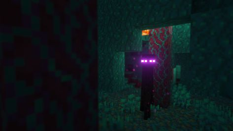 warped forest screenshot enderman shaders Warped Forest Minecraft, Enderman Aesthetic, Enderman Oc, Oak Forest, Minecraft Stuff, Gender Envy, Biome, Understanding Yourself, Card Art