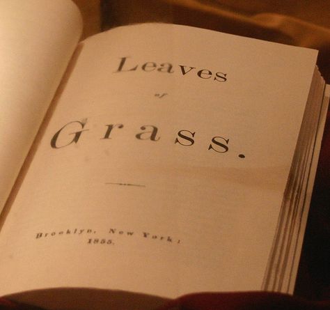 whitman Leaves Of Grass Walt Whitman, Lauren Oliver, Leaves Of Grass, Good In The World, Radio Drama, Free Verse, Books Everyone Should Read, University Of Notre Dame, Book Of Poems