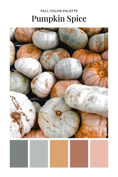 Pumpkin Colors Palette, Girly Fall Color Palette, Fall Clay Color Palette, Fall Birthday Color Palette, Cool Fall Color Palette, September Colors Palette, Autumn Paint Palette, Fall 2023 Colors, Pastel Fall Color Palette