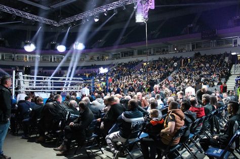 The 60th International Elite Men Boxing Tournament “Golden Glove” (22/26 November 2017, Belgrade, Serbia) Boxing Tournament, 26 November, Belgrade Serbia, Serbia, Boxing, Concert