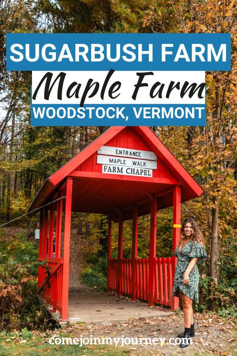 Everything you need to know about visiting Sugarbush Farm in Woodstock, Vermont. This is one of the best things to do in Fall in Vermont. While it is a popular spot in the Fall months, Sugarbush Farm is open year-round. | Things to do in Woodstock Vermont | Woodstock VT Things To Do In Vermont Fall, Woodstock Vt Fall, Woodstock Vermont Fall, Vermont Woodstock, Maine Roadtrip, 30 Bucket List, Fall In Vermont, Things To Do In Fall, Vermont Trip