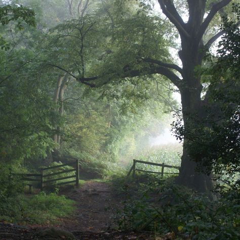 Meadow Garden, Have Inspiration, Foto Art, Green Gables, Country Life, In The Woods, A Tree, Beautiful World, Secret Garden