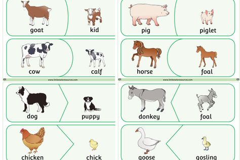 FREE Farm Animals and their young - Match Game Early Years/EY (EYFS) resource — Little Owls Resources - FREE EYFS/Early Years Printable Download Resources Animal Games For Toddlers, Farm Animals Games, Farm Animals Pictures, Animal Matching Game, Farm Animals Preschool, Animals Activities, Farm Animals Activities, Theme Preschool, Little Owls