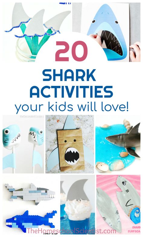 Shark activities your kids will love #sharks #sharkweek #crafts Shark Week Activities, Ocean Lessons, Shark Videos, Shark Week Crafts, Boys Activities, Shark Books, June Activities, Shark Activities, Shark Week Party