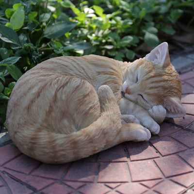 Tabby Cat Pictures, Tabby Kitten, Cute Little Kittens, Orange Tabby Cats, Cat Pose, Cat Statue, Garden Statue, Orange Tabby, Cat Sleeping