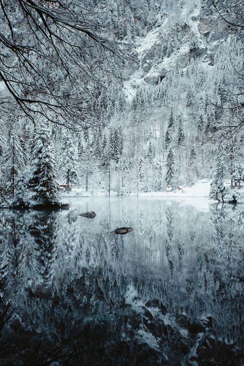 Scene Setting, Reflection Poster, Winter Images, Setting Ideas, Magic Forest, Winter Nature, Viria, Winter Photos, Conceptual Photography