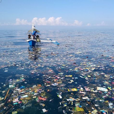 @4ocean posted on Instagram: “We were founded on the belief that business can be a force for good and that the actions of individual people, collectively, have the power…” • Aug 29, 2020 at 6:01pm UTC Plastic In Ocean, Pencemaran Lingkungan, Plastic Food Packaging, Twenty Dollar Bill, Experience Map, Kunst Inspo, Ocean Cleanup, Beach Clean Up, Hydration Station