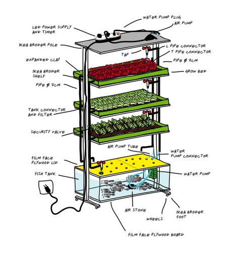 DIY Kitchen Aquaponic System Grows a Meal a Day The tank in this aquaponic setup holds about 400 liters (105 gallons) and will support fish like tilapia, salmon, or carp.  It holds three grow beds above the tank where vegetables can be planted.  At the top of the grow beds is a LED light hood.  This design was created to optimize space and costs with indoor food production. Aquaponics Diy, Aquaponic Gardening, Vertical Farming, Small Refrigerator, Aquaponics System, Growing Fruit, Hydroponic Gardening, Ikea Diy, Urban Farming