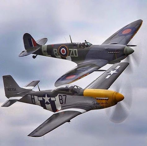 P-51 Mustang & a Spitfire in formation. #warbird Ww2 Fighter Planes, Avion Rc, Wwii Fighter Planes, Wwii Airplane, Wwii Fighters, Wwii Plane, Airplane Art, Supermarine Spitfire, Ww2 Planes