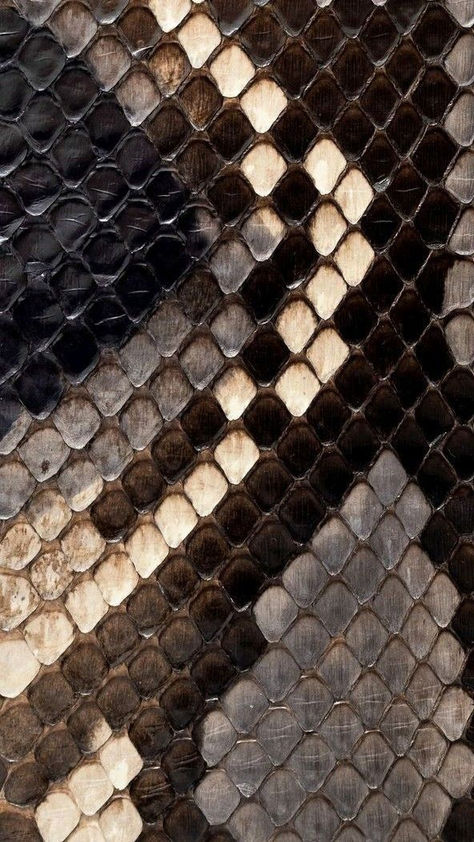 Leather Swatches Texture, Leather Aesthetic Wallpaper, Snake Print Wallpaper, Iphone 16 Wallpaper, Leather Wallpaper, Snake Texture, Iphone Wallpaper Texture, Glass Art Pictures, Aesthetic Wallpaper Iphone