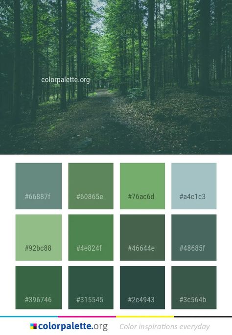 Forest Green Color Palette, Green Color Palette, Colors Inspiration, Hex Color Palette, Forest Color, Green Color Schemes, Green Palette, Nature Color Palette, Forest Green Color