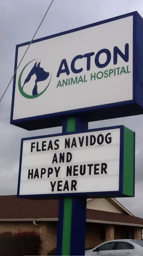 fleas navidog and happy neuter year sign.  from a veterinary hospital. #veterinary #christmas #newyear #humor #sign #vetmed #veterinarian #veterinaryclinic Vet Humor, Veterinary Humor, Veterinary Office, Vet Tech Student, Vet Life, Funny Dog Signs, Roadside Signs, Hospital Signs, Vet Office