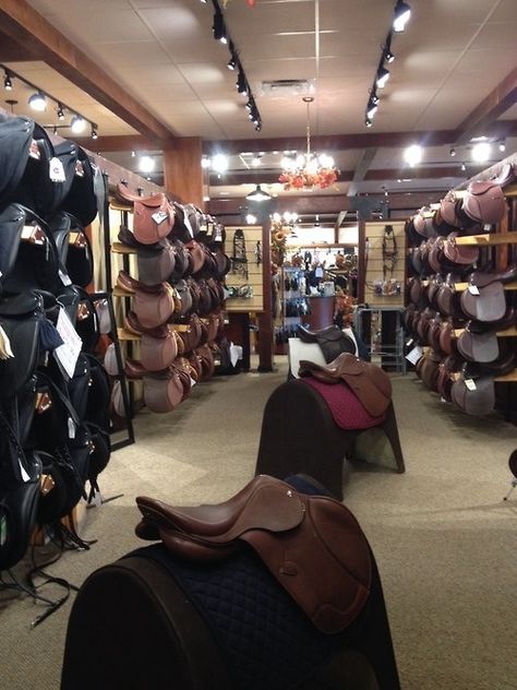 Equestrian: Tack store Horse Shop Interior, Western Boutique Display, Horse Tack Western, Buying A Horse, Tack Room Organization, Horse Tack Rooms, Horse Business, Equestrian Tack, Horse Room