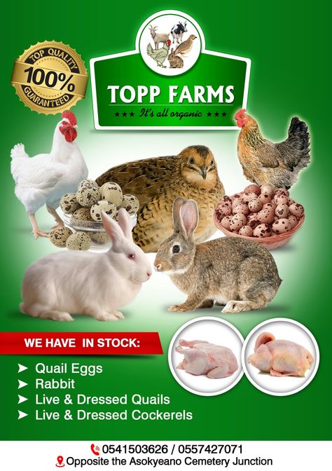 Topp Farms Farm Flyer Design, Barbershop Poster, Poultry Farm Design, Folder Cover Design, Farm Poster, Giant Snail, Birthday Background Design, Company Business Cards, Flyers Design