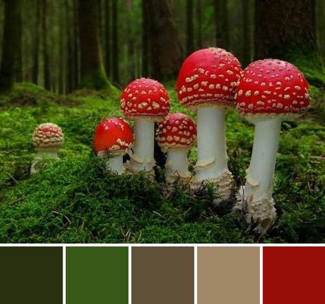 Color palette #27 Mushrooms ✱ST Fairy Aesthetic Color Palette, Mushroom Pallete, Mushroom Forest Color Palette, Mushroom Color Pallete, Color Palette Mushroom, Fungi Color Palette, Goblin Color Palette, Goblin Core Color Palette, Mushroom Mood Board