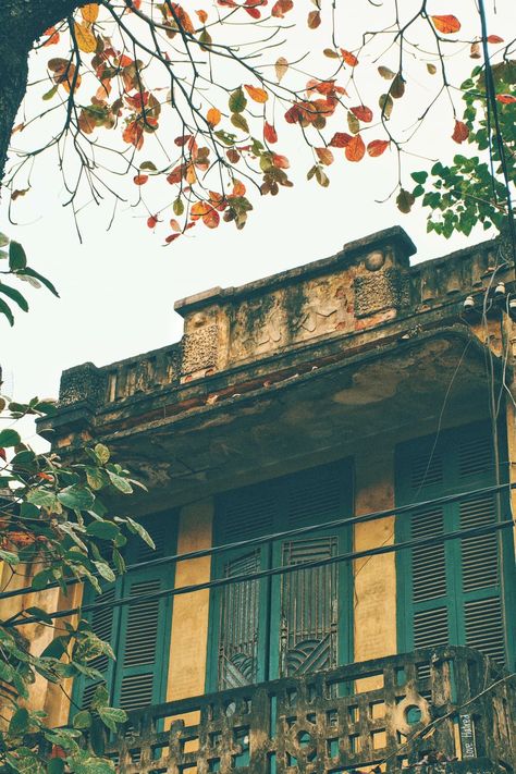 Thailand Aesthetic Street, Old Bengali Aesthetic, Bengali Literature Aesthetic, Bengali Aesthetic Photography, 1900s Aesthetic, Minimalist Wallpaper Phone, Swag Wallpaper, Blue Flower Wallpaper, All The Bright Places