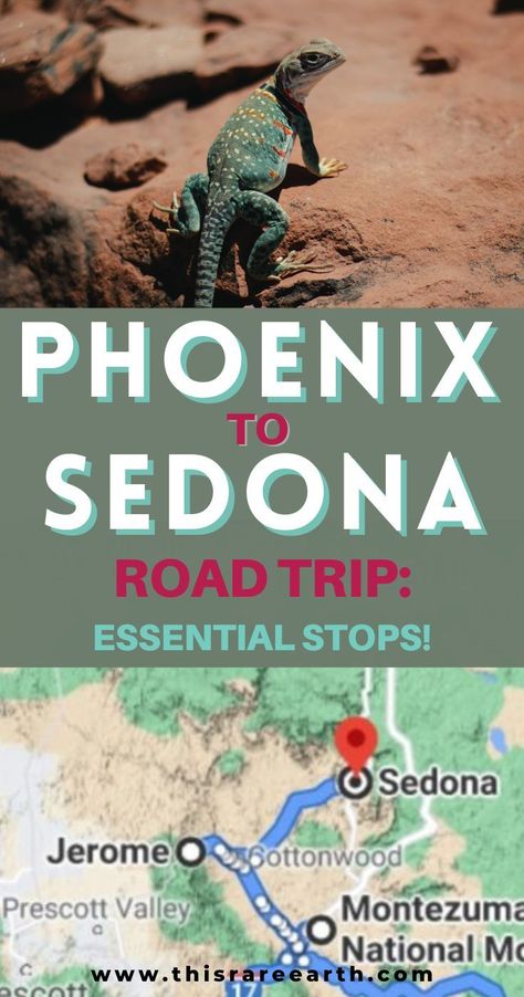 A lizard in Sedna and a map of Arizona. Drive From Phoenix To Sedona, Road Trip From Phoenix To Grand Canyon, Phoenix To Grand Canyon Road Trip, Phoenix To Sedona Road Trip, Sedona Arizona Things To Do In, Sedona Road Trip, Phoenix To Sedona, Phoenix Travel Guide, Arizona Waterfalls