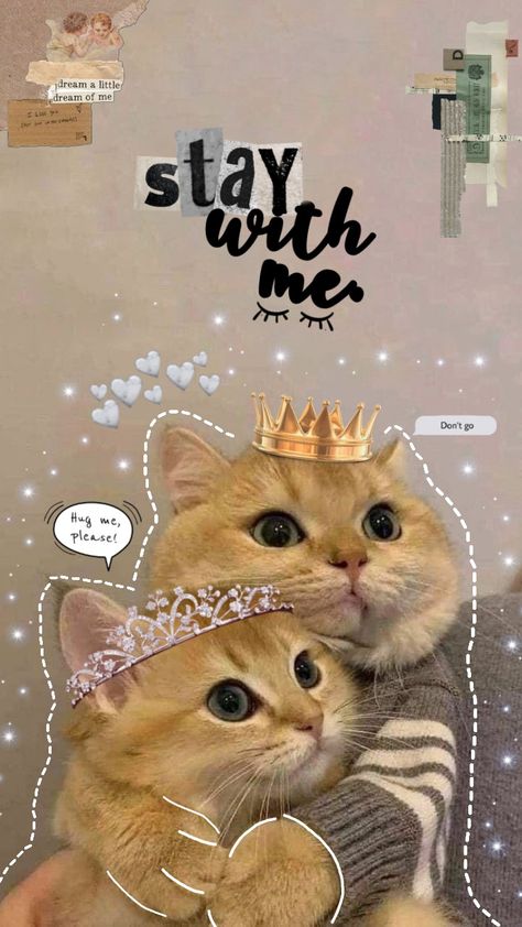 Wallpaper Iphone Cute Aesthetic, Funny Cat Gifs, Minimalist Wallpaper Phone, Iphone Wallpaper Cat, Funny Cat Wallpaper, Pretty Wallpapers Tumblr, Cute Desktop Wallpaper, Cute Images With Quotes, Cute Cartoon Images