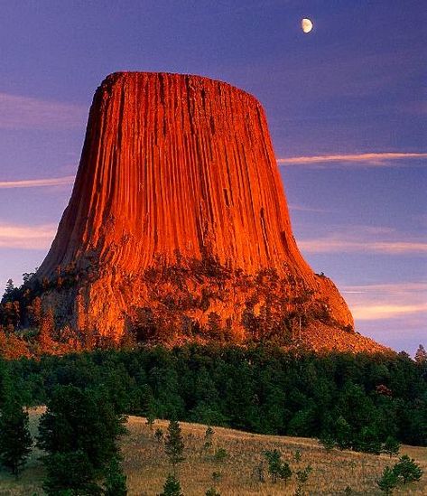 Wyoming Trip, Devils Tower Wyoming, Montana Trip, Devils Tower National Monument, Devils Tower, Travel America, Awesome Nature, Road Trippin, To Infinity And Beyond