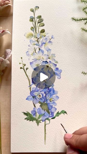 Vaibhav Tyagi on Instagram: "Larkspur Delphinium for the weekend 💙 . . . Materials used  • @derwentart_india Inktense studio pans set • @derwentart_india inktense cotton paper  . . . #floralwatercolor #botanicalart #larkspur #watercolorpainting #watercolorflorals #watercolorflowers #realisticfloralart #floralaft #floralillustration #illustration #botanicalwatercolor #botanicalillustration #botanicalpainting #realisticflowers #watercolour #watercolordaily #illustrationnow #derwent #inktense #ink #summer" How To Paint Delphiniums, Larkspur Flower Watercolor, Watercolor Delphinium, Larkspur Watercolor, Larkspur Delphinium, Xmas Flowers, Larkspur Flower, Inspirational Paintings, Derwent Inktense