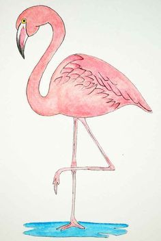 Flamingo Images Free Printable, Flamingo Friday, Pencil Drawing Ideas, Fancy Flamingo, Flamingo Wall Art, Flamingo Painting, Flamingo Art, Flamingo Pattern, Flamingo Party