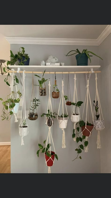 How To Hang Plants In An Apartment, Plants On Hooks, Indoor Plant Display Ideas Small Spaces, Coat Rack Plant Hanger, Indoor Plants Ideas Display, Where To Hang Plants Indoors, Ladder Plant Hanger Ceiling, High Shelf Decorating Ideas, Plant Display