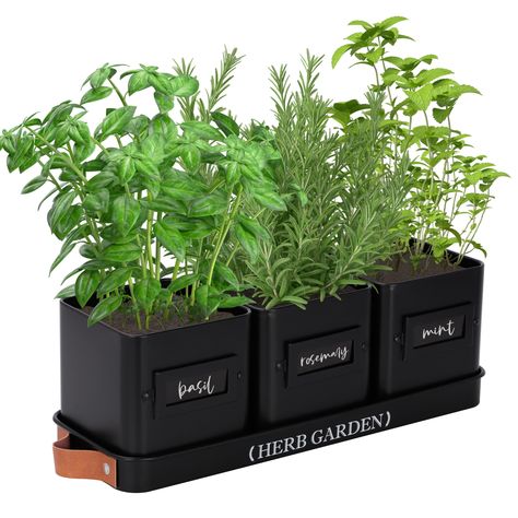 PRICES MAY VARY. 【Indoor Herb Garden】Experience the joy of gardening with our specialized indoor herb planter. This set includes a planter with a tray but does not come with plants and seeds. Designed specifically for herb cultivation, these planters can be used both indoors and outdoors. Crafted from durable metal with a sleek, glossy white finish, they blend functionality with a farmhouse style to enhance your living space. 【Windowsill Herb Garden】Our window herb garden includes three pots and Window Pots, Windowsill Herb Garden, Window Herb Garden, Basil Herb, Container Herb Garden, Herb Garden Planter, Indoor Vegetables, Outdoor Window, Indoor Herb