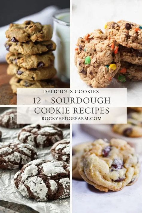 Discover the magic of sourdough beyond bread – indulge in these delicious sourdough cookie recipes. Sourdough has grown from a bread essential to a kitchen superstar because of its tangy charm and versatility. From chewy chocolate chip cookies to snickerdoodles, these recipes showcase the sweet side of sourdough. Sourdough Cookies, Recipe Using Sourdough Starter, Dough Starter, Sourdough Starter Discard Recipe, Bread Starter, Sourdough Starter Recipe, Sourdough Discard, Sourdough Baking, Delicious Cookie Recipes