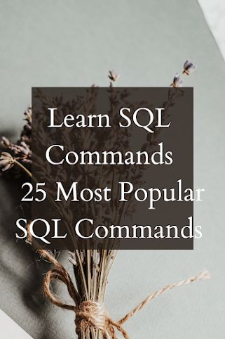 Learn SQL Commands —25 Most Popular SQL Commands - solutions carlitosways Sql Notes, Sql Certification, Arithmetic Mean, Sql Commands, Learn Sql, Pl Sql, Computer Science Programming, Data Science Learning, Science Learning