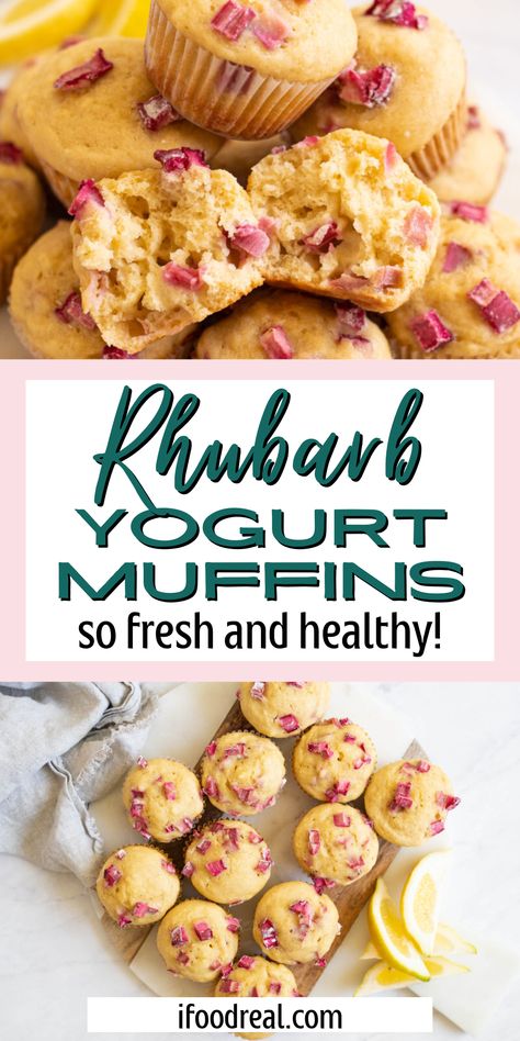 These Rhubarb Yogurt Muffins are loaded with fresh rhubarb, which gives these muffins a wonderful sweet and sour flavor. This recipe is made with a short list of ingredients, so it’s pretty simple to make. You’ll feel like you’re biting into a bakery-style treat when you try these muffins, so why not make them today? Rhubarb Muffins Healthy Greek Yogurt, Rhubarb Muffins Healthy, Rhubarb Yogurt Muffins, Rhubarb Yogurt, Healthy Rhubarb Recipes, Low Sugar Muffins, Rhubarb Scones, Sweet Muffins, Fresh Rhubarb