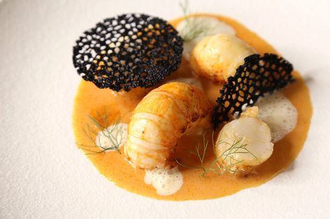 Fine Dining Starters, Butter Poached Lobster Tail, Lobster Soup, Fine Dining Plating, Butter Poached Lobster, Fine Dining Desserts, Gourmet Food Plating, Fancy Dinner Recipes, Elegant Food