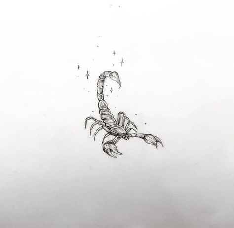 Matching Scorpion Tattoo, Tiny Scorpion Tattoo Design, Scorpio Moon Tattoo Ideas, Scorpion Tattoo Fine Line, Feminine Scorpion Tattoo Ideas, Flaming Tattoo, Scorpion Tattoo Design Feminine, Feminine Scorpion Tattoo, Scorpion Tattoo Feminine