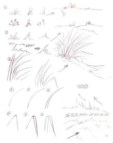 Landscape Drawing Tutorial, Grass Drawing, Plant Sketches, Nature Sketch, Tree Sketches, Landscape Sketch, Art Diary, Plant Drawing, Nature Drawing