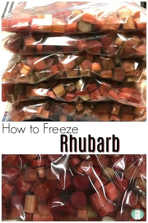 How To Freeze Rhubarb, Freezing Rhubarb, Rhubarb Uses, Freeze Rhubarb, Rhubarb Muffins, Freezing Food, Rhubarb Crisp, Rhubarb Cake, Rhubarb Recipes