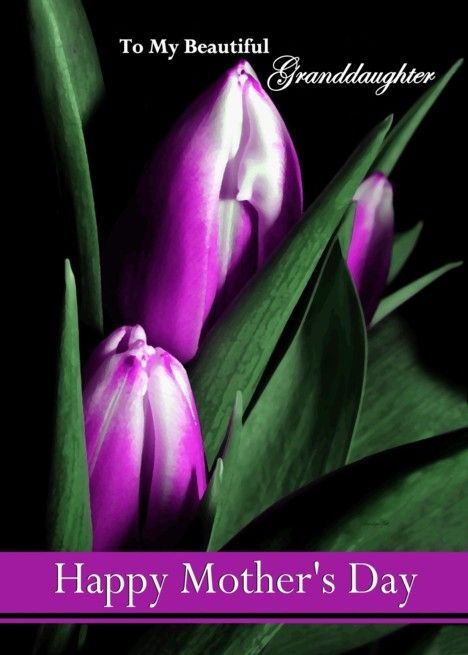 Happy Mothers Day Wishes, Tulips Card, Happy Mother's Day Greetings, To My Granddaughter, Graphic Design Cards, Creative Infographic, Mother Day Wishes, Purple Tulips, Make Her Smile