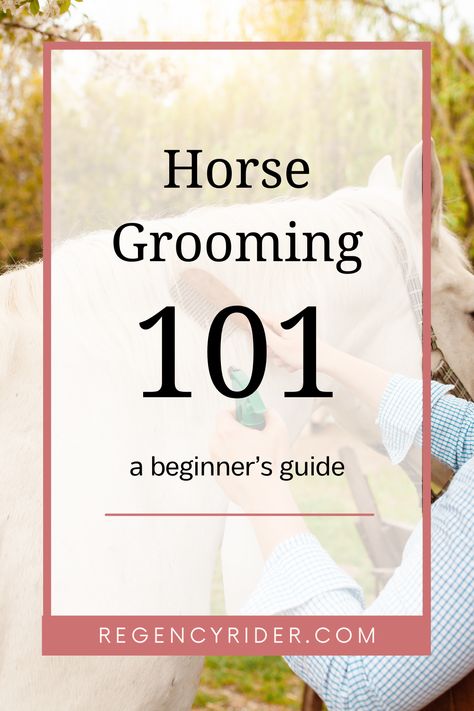 Discover essential horse grooming techniques for beginners with our easy-to-follow guide! Learn how to properly groom your horse, from brushing to hoof care, and ensure your equine friend looks and feels great. Perfect for new horse owners and enthusiasts alike. #HorseGrooming #EquineCare Horse Care For Beginners, Horse Ownership, Equine Care, Horse Washing, Hoof Care, Horse Grooming, Detangler Spray, Horse Owner, Horse Equestrian