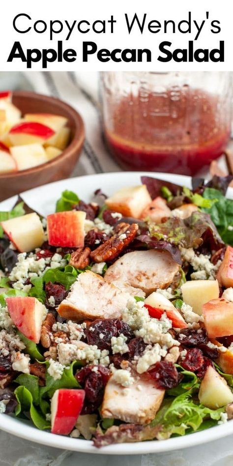 Wendy’s Apple Pecan Chicken Salad, Chicken Apple Walnut Salad, Pomegranate Vinaigrette Dressing, Pomegranate Salad Dressing, Pecan Salad Recipe, Apple Pecan Salad, Apple Cranberry Salad, Walnut Chicken Salad, Pomegranate Vinaigrette