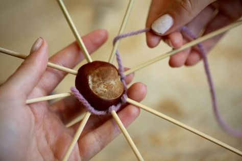 Craft ideas for kids: Gather stacks of shiny, round conkers this autumn and make nature creatures, spider's webs, and a natural pull-along toy for your toddler. Halloween Conkers, Childminder Activities, Conker Craft Ideas, Autumn Childrens Crafts, Conker Art, Conker Crafts, Autumnal Activities, Autumnal Crafts, Conkers Craft