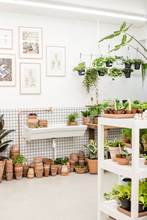 Tiled walls and exposed copper plumbing: Leaf is a houseplant laboratory. Canal St Martin, Architecture Parisienne, Flower Shop Interiors, Plant Book, Fiddle Leaf Fig Tree, Plant Shop, Flower Store, Florist Shop, Tree Shop