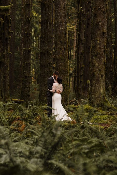 2023 Elopement, Forest Wedding Photography, Dream Elopement, Forest Engagement Photos, Twilight Wedding, Redwood Wedding, Washington Coast, Forest Theme Wedding, Forest Engagement