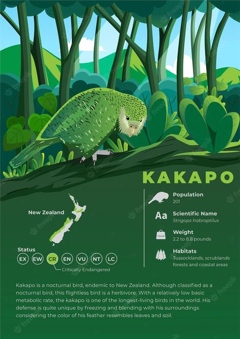 Animal Infographic Illustration, Great Poster Design, Cute Animal Poster, Animal Infographic Design, Bird Infographic, Endangered Animals Infographic, Info Poster Design, Zoology Poster, Animal Poster Design