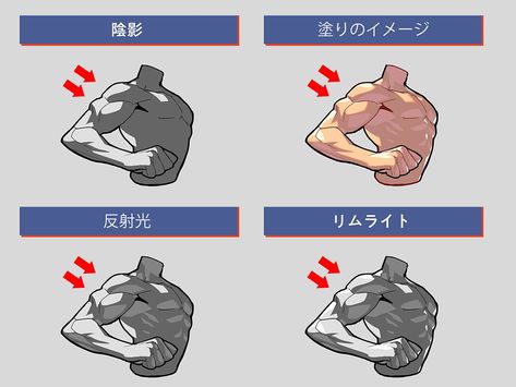 Skin Shading Tutorial, Shading Drawing, Life Drawing Reference, Anatomy Tutorial, Art Advice, Figure Reference, Anatomy Sketches, Body Reference Drawing, Art Folder