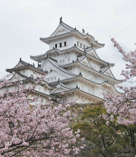 Gunung Fuji, Photo Kawaii, Himeji Castle, Japanese Castle, Spring Studios, Japanese Aesthetic, Summer Photos, Fine Arts Posters, Poster Size